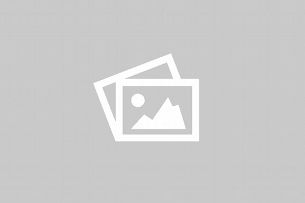 Certificate in Surveillance Systems